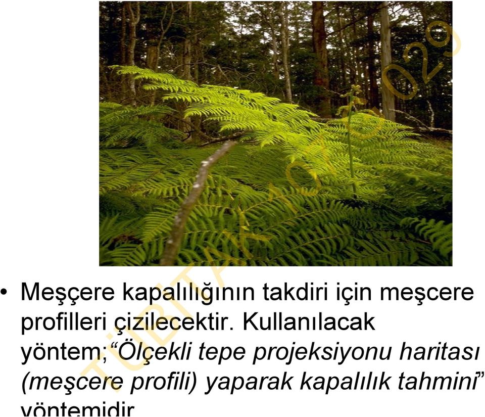 Kullanılacak yöntem; Ölçekli tepe