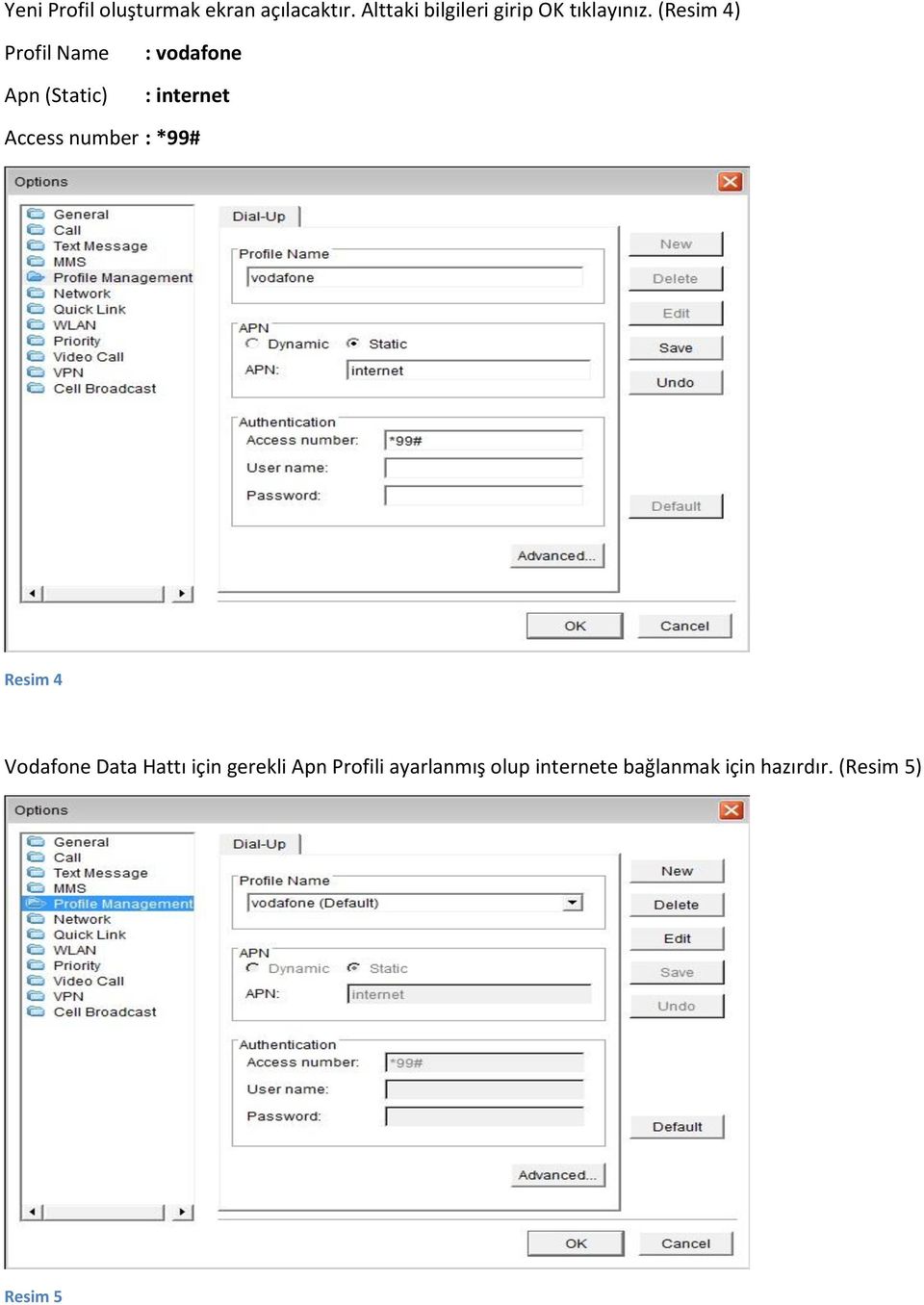 (Resim 4) Profil Name Apn (Static) : vodafone : internet Access