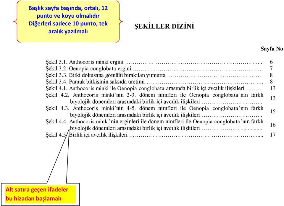 Anthocoris minki ile Oenopia conglobata arasında birlik içi avcılık ilişkileri 13 Şekil 4.2. Anthocoris minki nin 2-3.