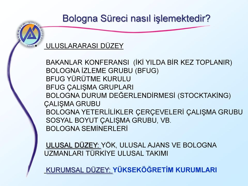 KURULU BFUG ÇALIŞMA GRUPLARI BOLOGNA DURUM DEĞERLENDİRMESİ (STOCKTAKİNG) ÇALIŞMA GRUBU BOLOGNA YETERLİLİKLER