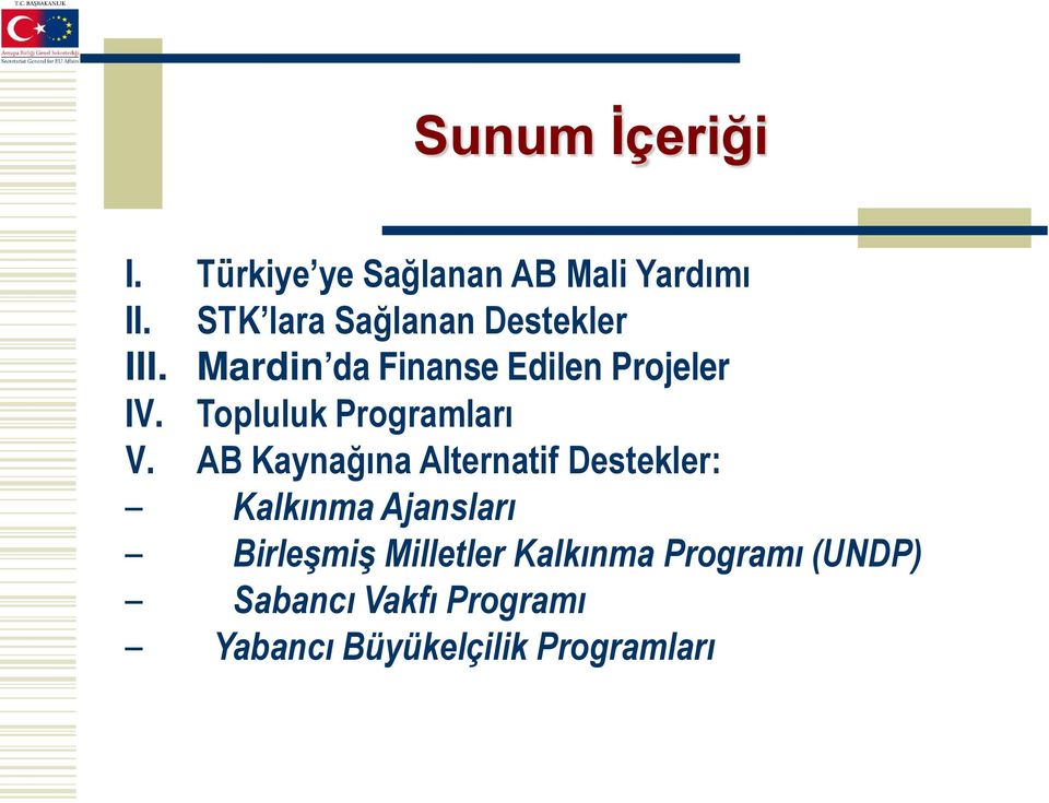 Topluluk Programları V.