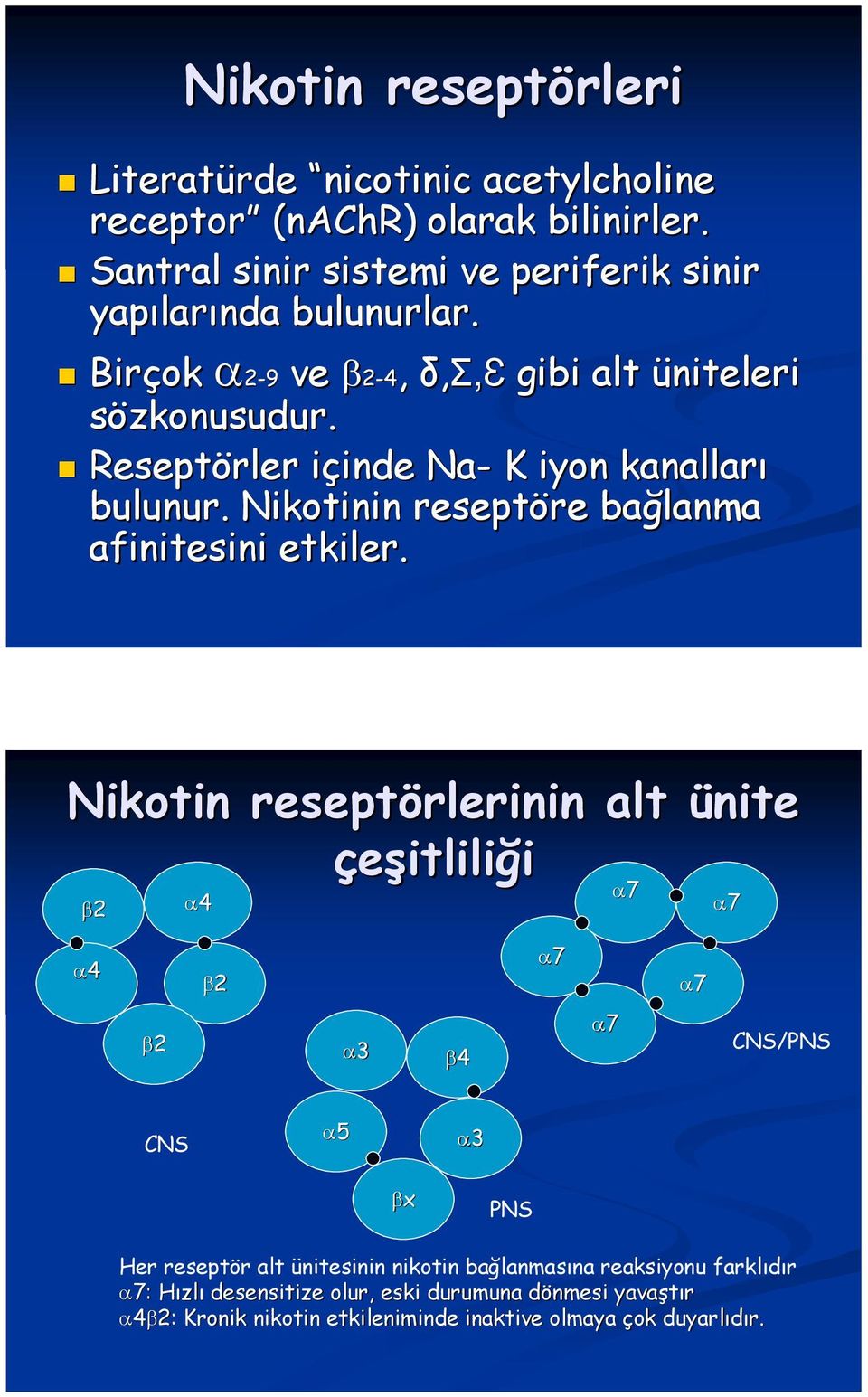 Reseptörler içinde i inde Na- K iyon kanalları bulunur. Nikotinin reseptöre bağlanma afinitesini etkiler.