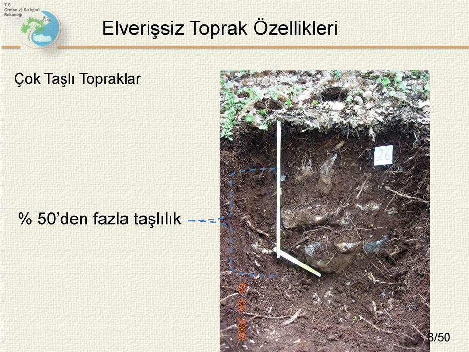 Taşlı Topraklar %