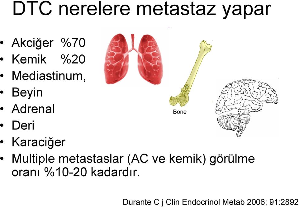 metastaslar (AC ve kemik) görülme oranı %10-20