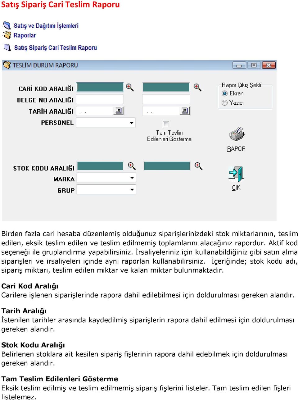 İçeriğinde; stok kodu adı, sipariş miktarı, teslim edilen miktar ve kalan miktar bulunmaktadır.