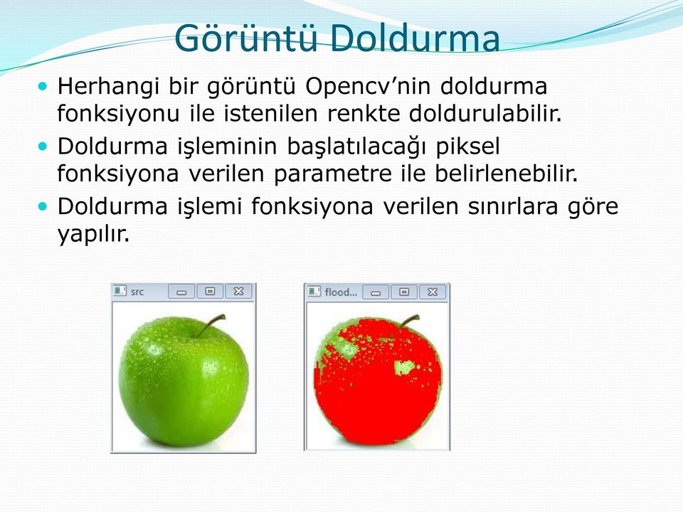 Doldurma işleminin başlatılacağı piksel fonksiyona verilen