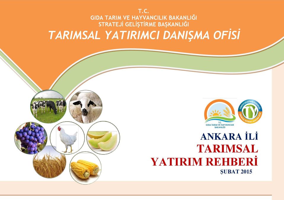 BAŞKANLIĞI TARIMSAL YATIRIMCI DANIŞMA