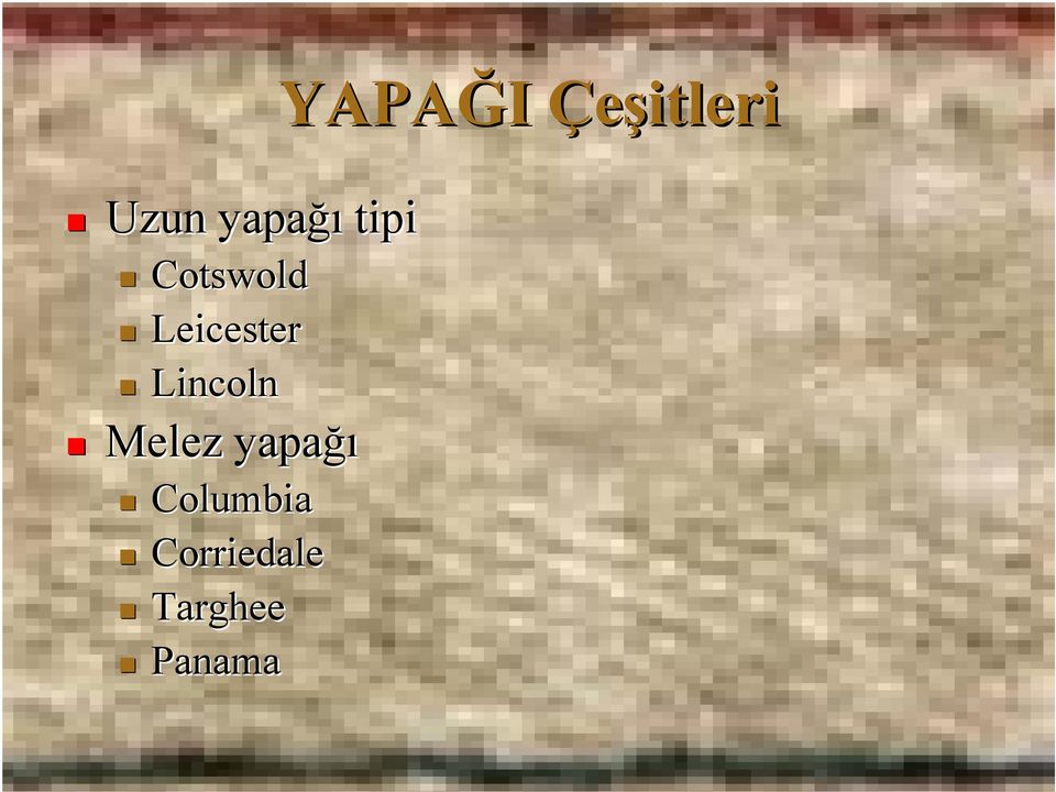 yapağı Columbia Corriedale