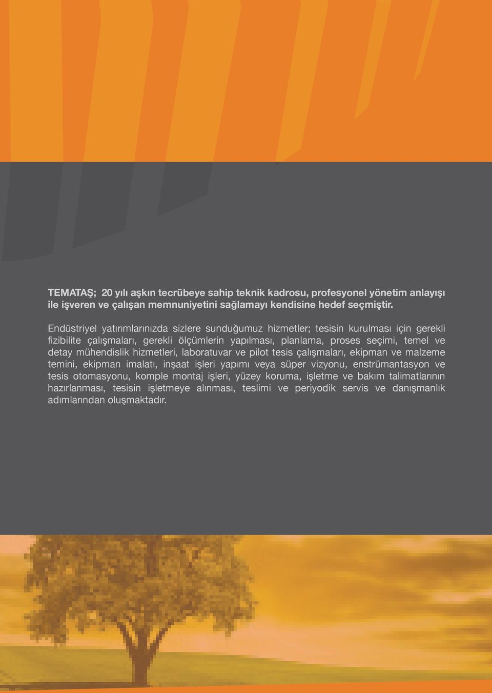 ve detay mühendislik hizmetleri, laboratuvar ve pilot tesis çalışmaları, ekipman ve malzeme temini, ekipman imalatı, inşaat işleri yapımı veya süper vizyonu, enstrümantasyon ve