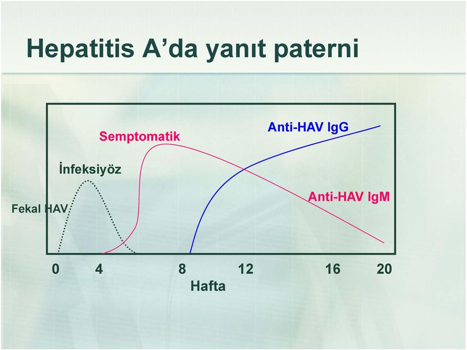 Anti-HAV IgG İnfeksiyöz