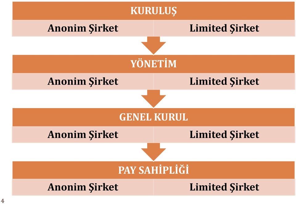 Anonim Şirket GENEL KURUL Limited