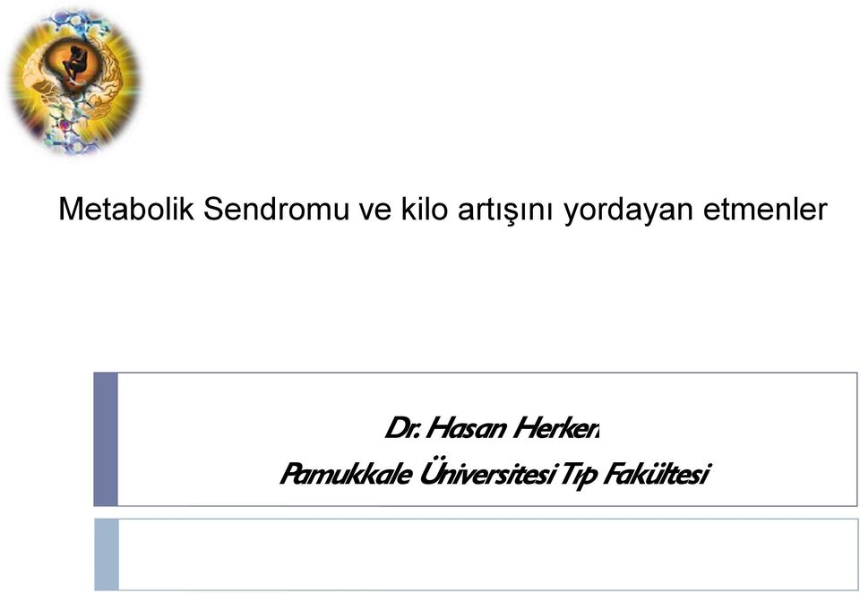 Dr. Hasan Herken Pamukkale