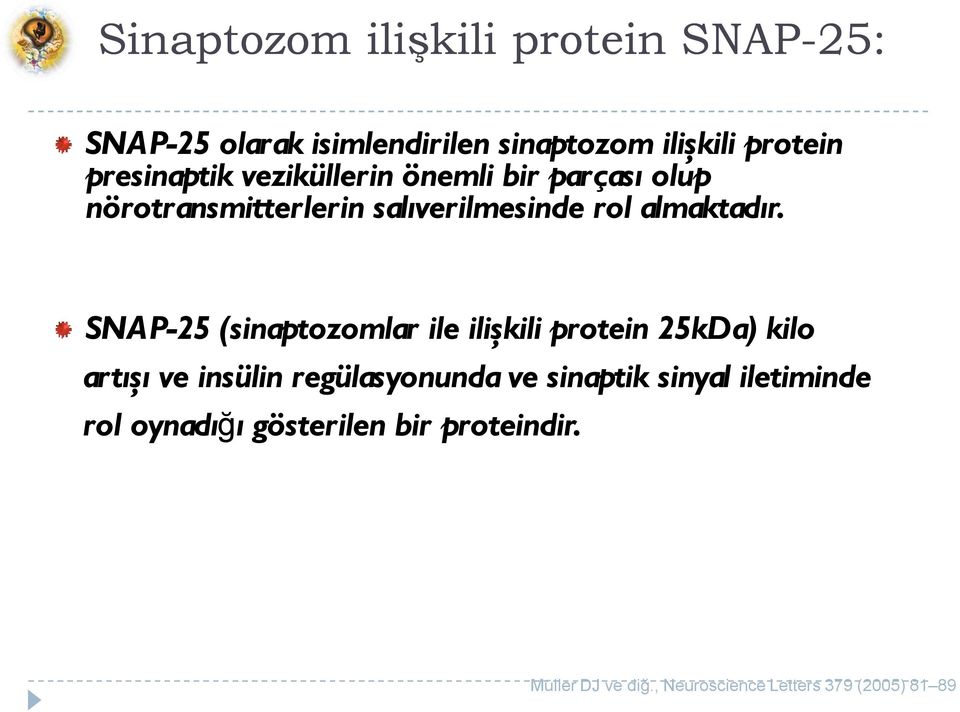 SNAP-25 (sinaptozomlar ile ilişkili protein 25kDa) kilo artışı ve insülin regülasyonunda ve sinaptik