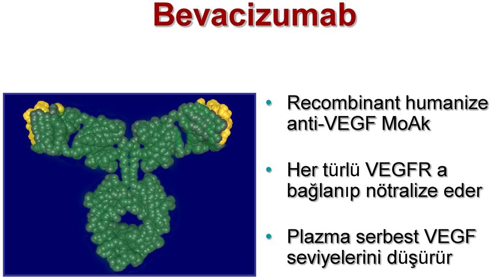 bağlanıp nötralize eder Plazma