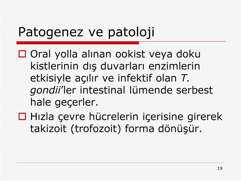 olan T. gondii ler intestinal lümende serbest hale geçerler.