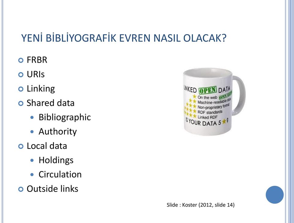 Bibliographic Authority Local data