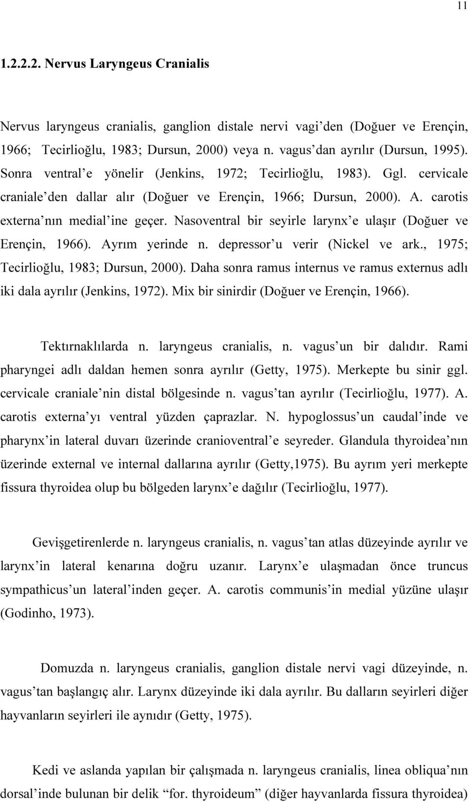 Nasoventral bir seyirle larynx e ulaşır (Doğuer ve Erençin, 1966). Ayrım yerinde n. depressor u verir (Nickel ve ark., 1975; Tecirlioğlu, 1983; Dursun, 2000).