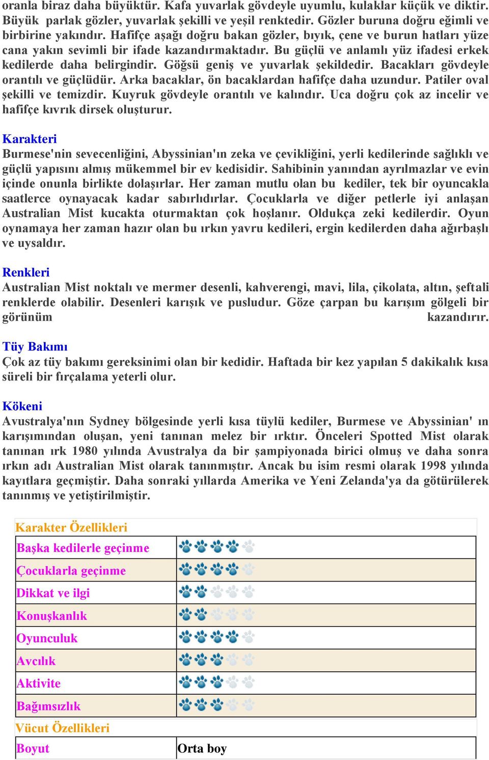 Göğsü geniş ve yuvarlak şekildedir. Bacakları gövdeyle orantılı ve güçlüdür. Arka bacaklar, ön bacaklardan hafifçe daha uzundur. Patiler oval şekilli ve temizdir. Kuyruk gövdeyle orantılı ve kalındır.