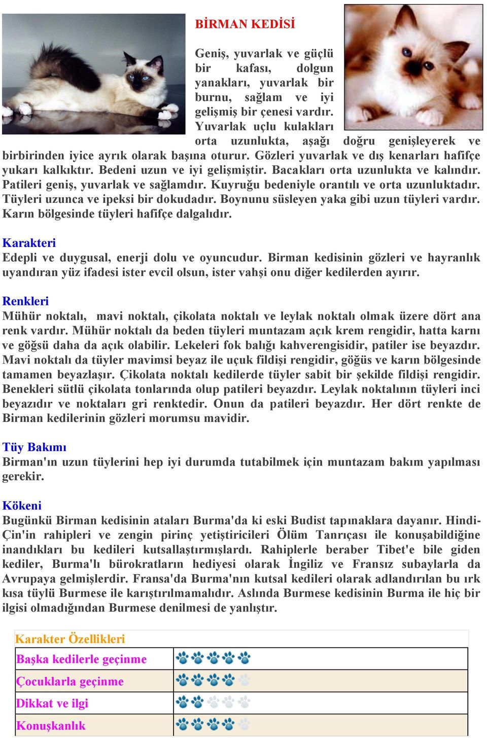 Bedeni uzun ve iyi gelişmiştir. Bacakları orta uzunlukta ve kalındır. Patileri geniş, yuvarlak ve sağlamdır. Kuyruğu bedeniyle orantılı ve orta uzunluktadır. Tüyleri uzunca ve ipeksi bir dokudadır.