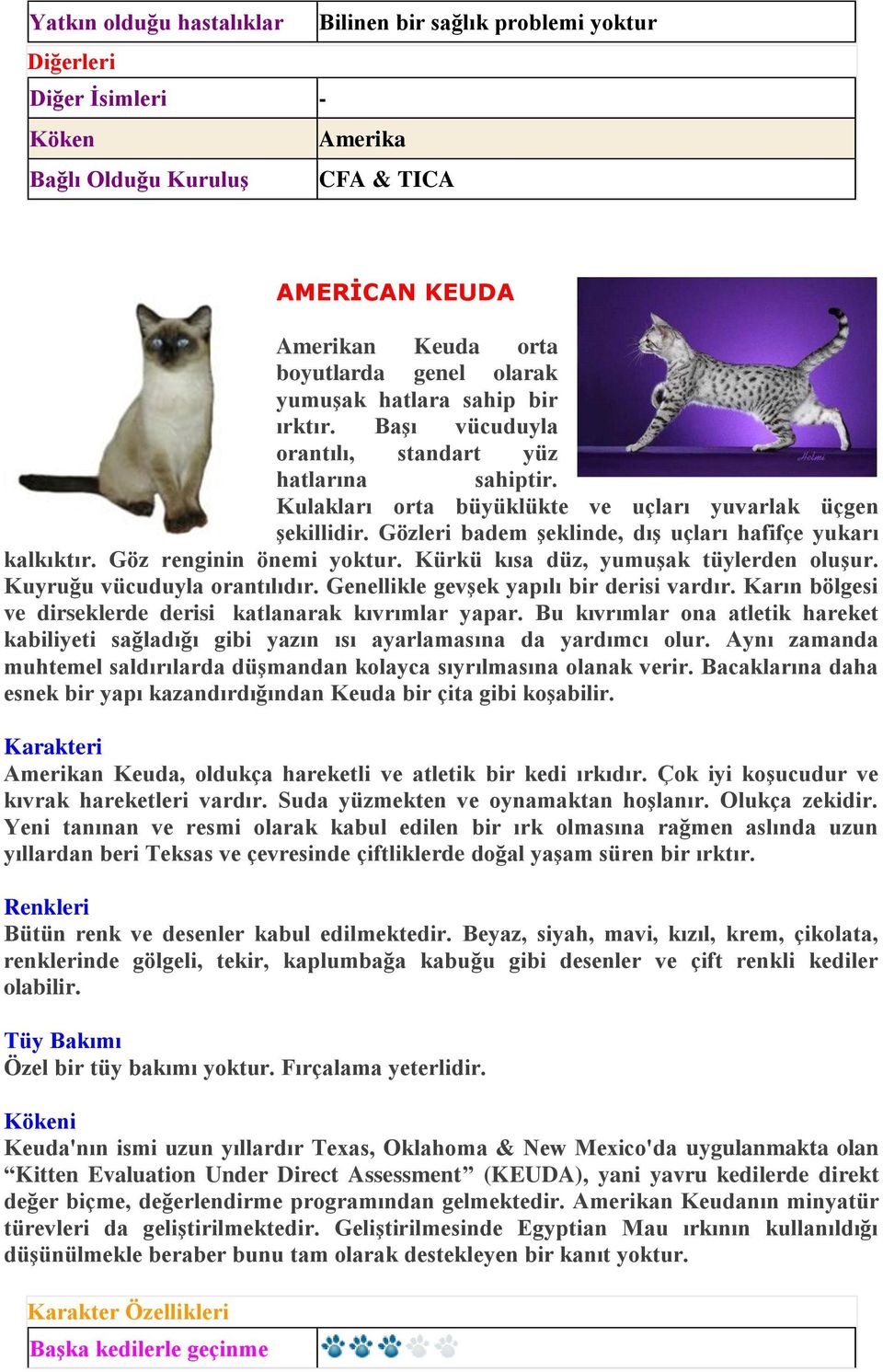 nin önemi yoktur. Kürkü kısa düz, yumuşak tüylerden oluşur. Kuyruğu vücuduyla orantılıdır. Genellikle gevşek yapılı bir derisi vardır. Karın bölgesi ve dirseklerde derisi katlanarak kıvrımlar yapar.