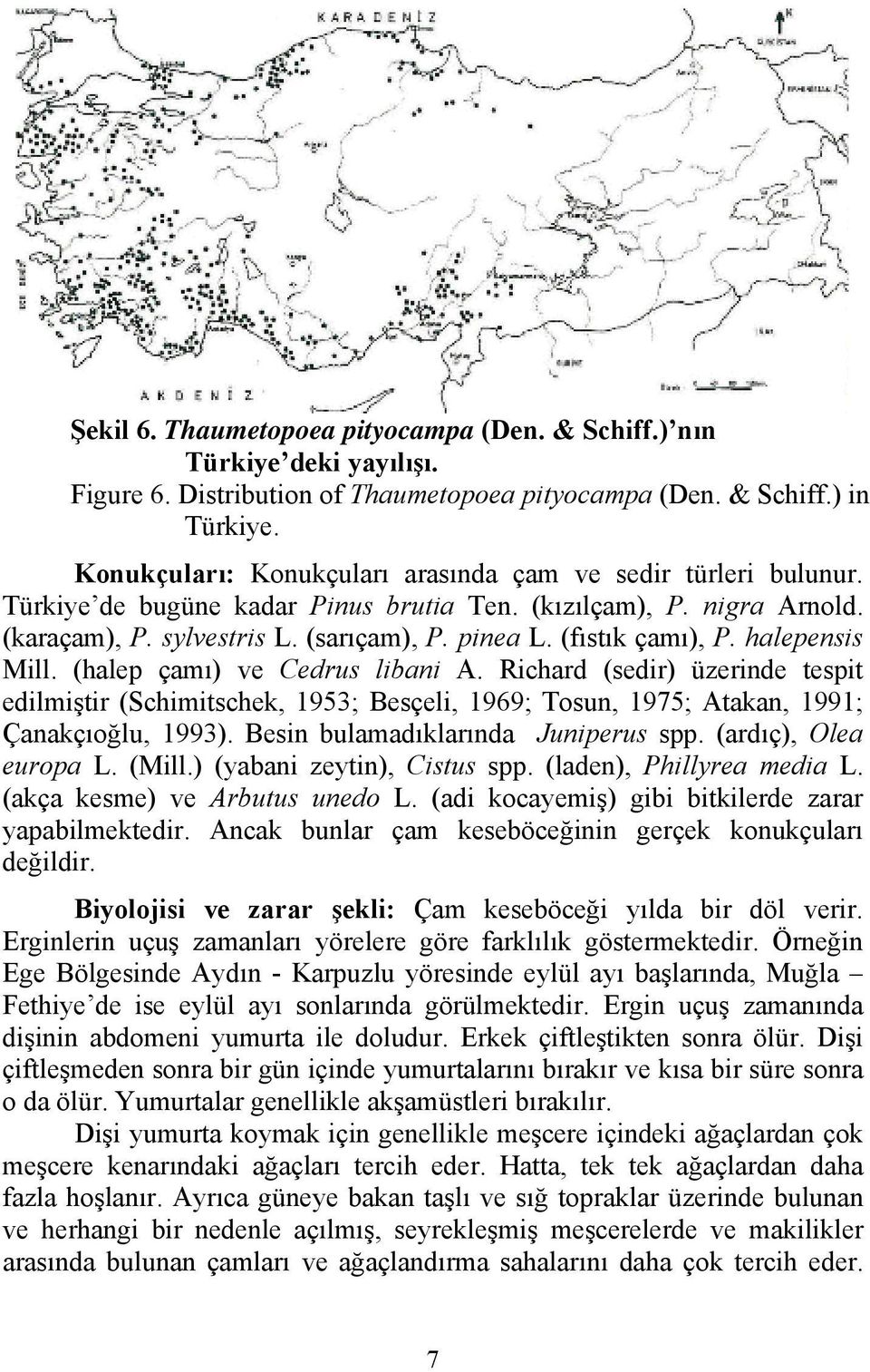 (fıstık çamı), P. halepensis Mill. (halep çamı) ve Cedrus libani A. Richard (sedir) üzerinde tespit edilmiştir (Schimitschek, 1953; Besçeli, 1969; Tosun, 1975; Atakan, 1991; Çanakçıoğlu, 1993).