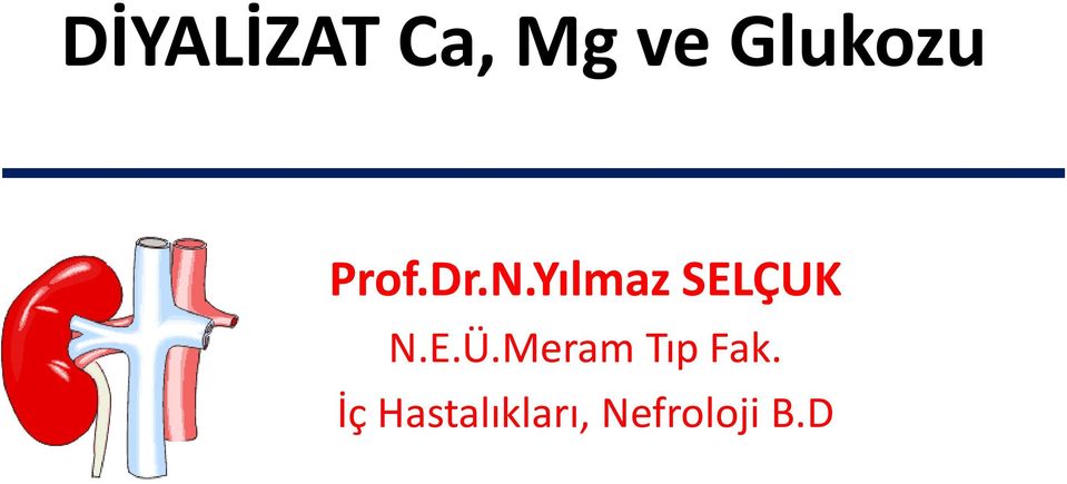 Yılmaz SELÇUK N.E.Ü.