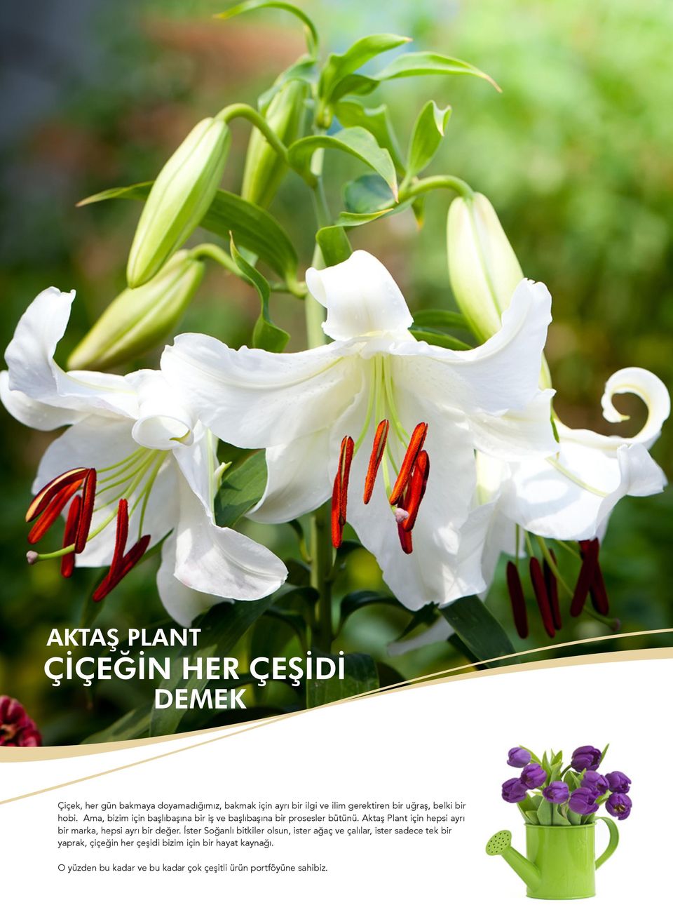 Aktaş Plant için hepsi ayrı bir marka, hepsi ayrı bir değer.