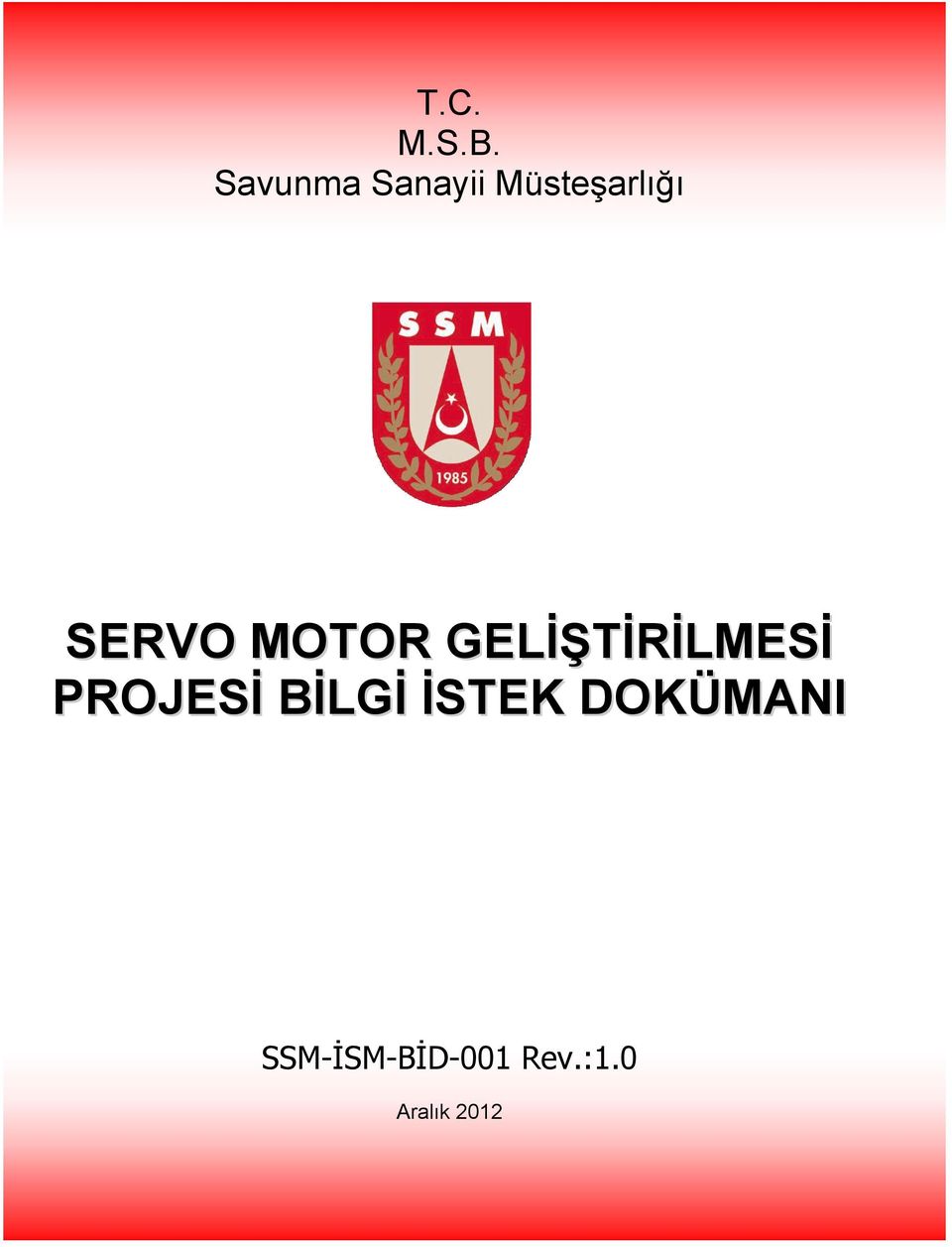 SERVO MOTOR GELİŞTİRİLMESİ