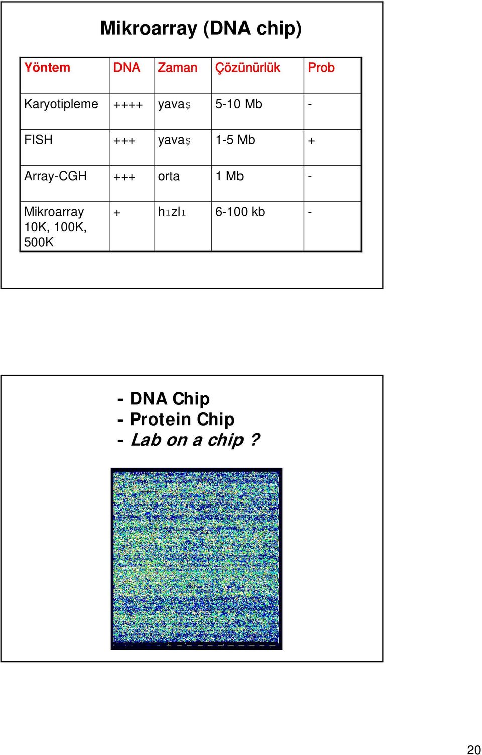 + Array-CGH +++ orta 1 Mb - Mikroarray 10K, 100K, 500K +