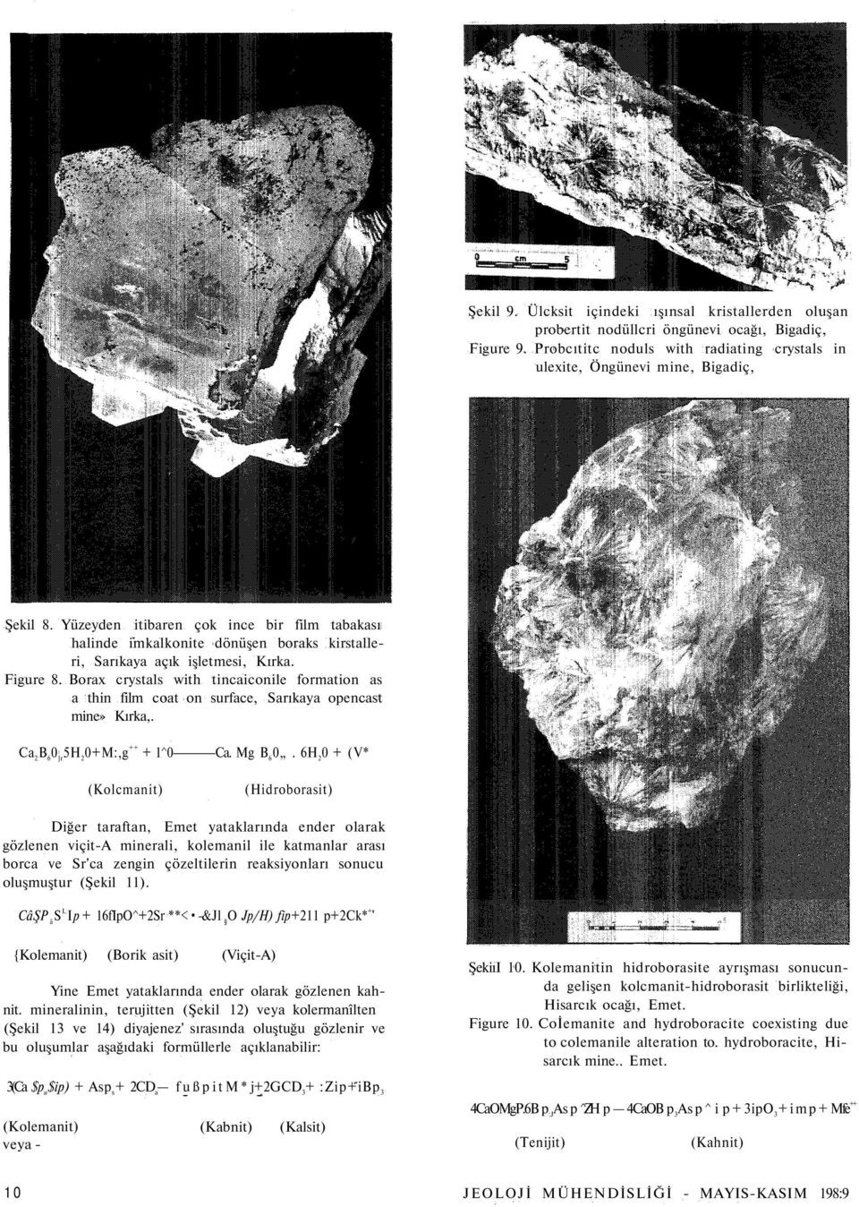 Borax crystals with tincaiconile formation as a thin film coat on surface, Sarıkaya opencast mine» Kırka,. ++ Ca 2 B 6 0 ]r 5H 2 0+M:,g + 1^0 (Kolcmanit) Ca. Mg B 6 0.