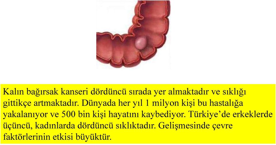 Dünyada her yıl 1 milyon kişi bu hastalığa yakalanıyor ve 500 bin kişi