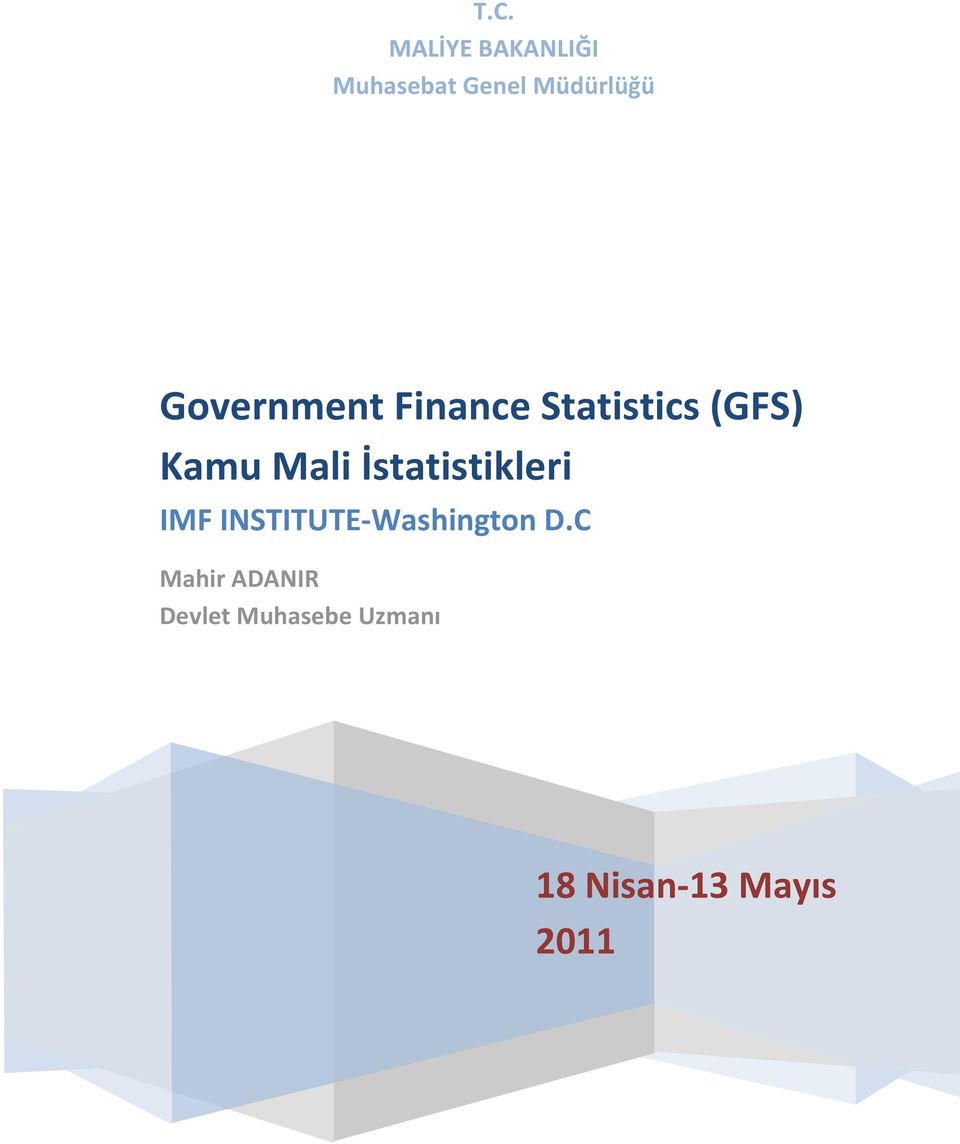 İstatistikleri IMF INSTITUTE-Washington D.