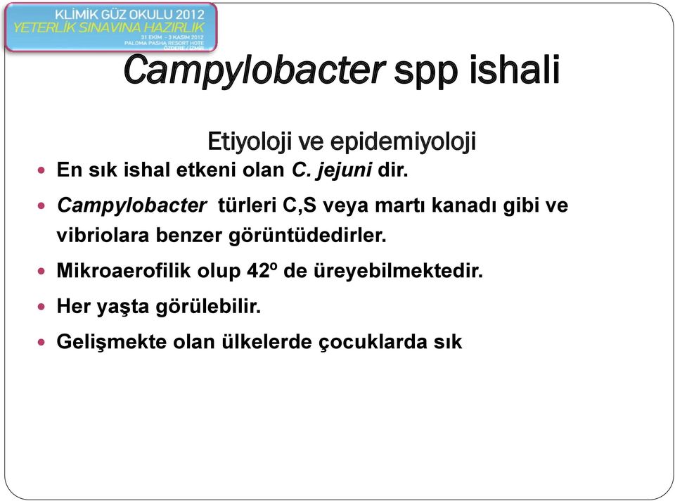 Campylobacter türleri C,S veya martı kanadı gibi ve vibriolara benzer