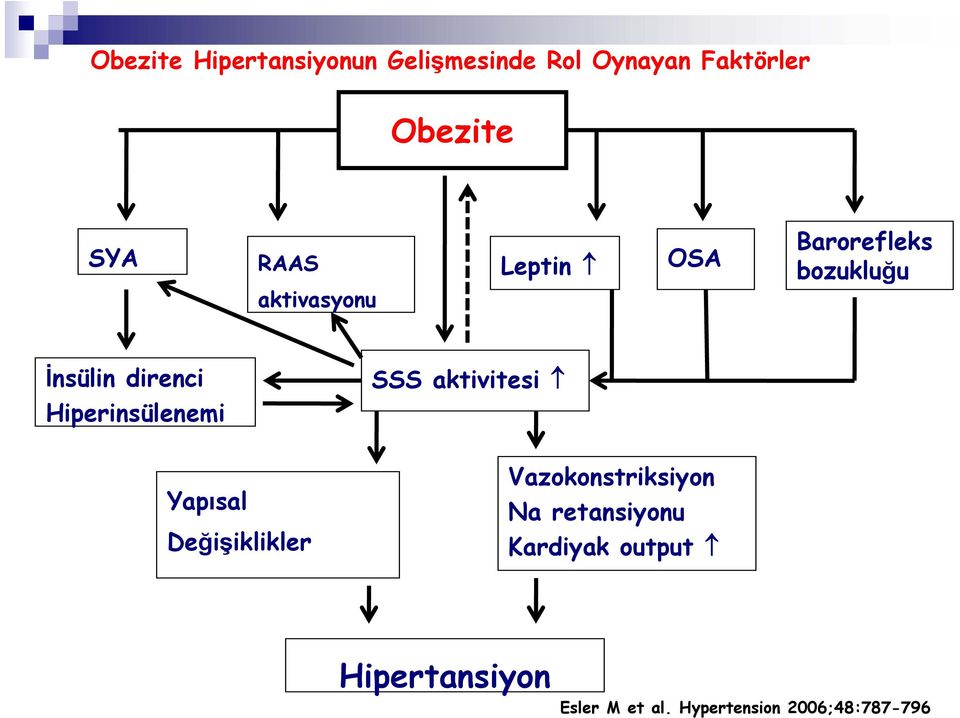 Hiperinsülenemi SSS aktivitesi Yapısal Değişiklikler Vazokonstriksiyon Na