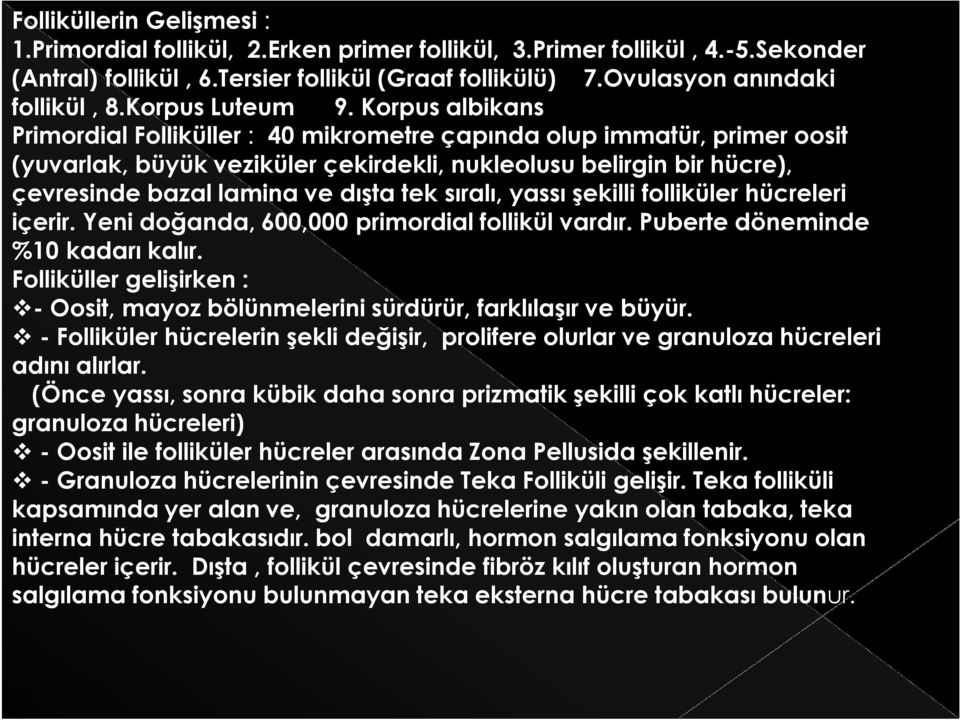 Korpus albikans Primordial Folliküller : 40 mikrometre çapında olup immatür, primer oosit (yuvarlak, büyük veziküler çekirdekli, nukleolusu belirgin bir hücre), çevresinde bazal lamina ve dışta tek