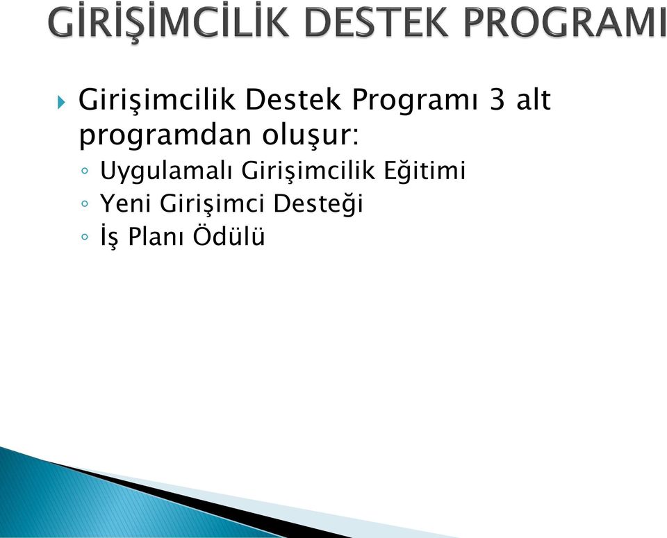 Uygulamalı Girişimcilik