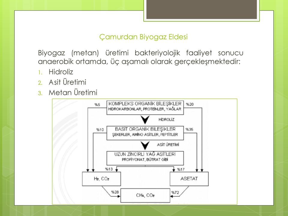 anaerobik ortamda, üç aşamalı olarak