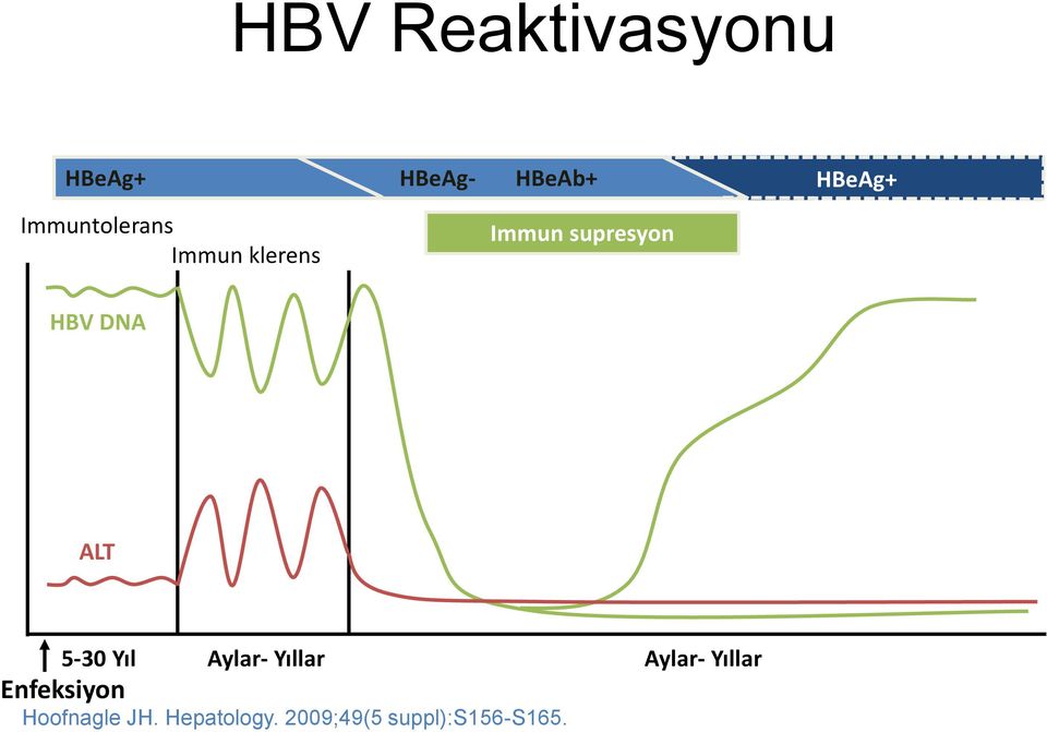 DNA ALT 5-30 Yıl Aylar- Yıllar Enfeksiyon