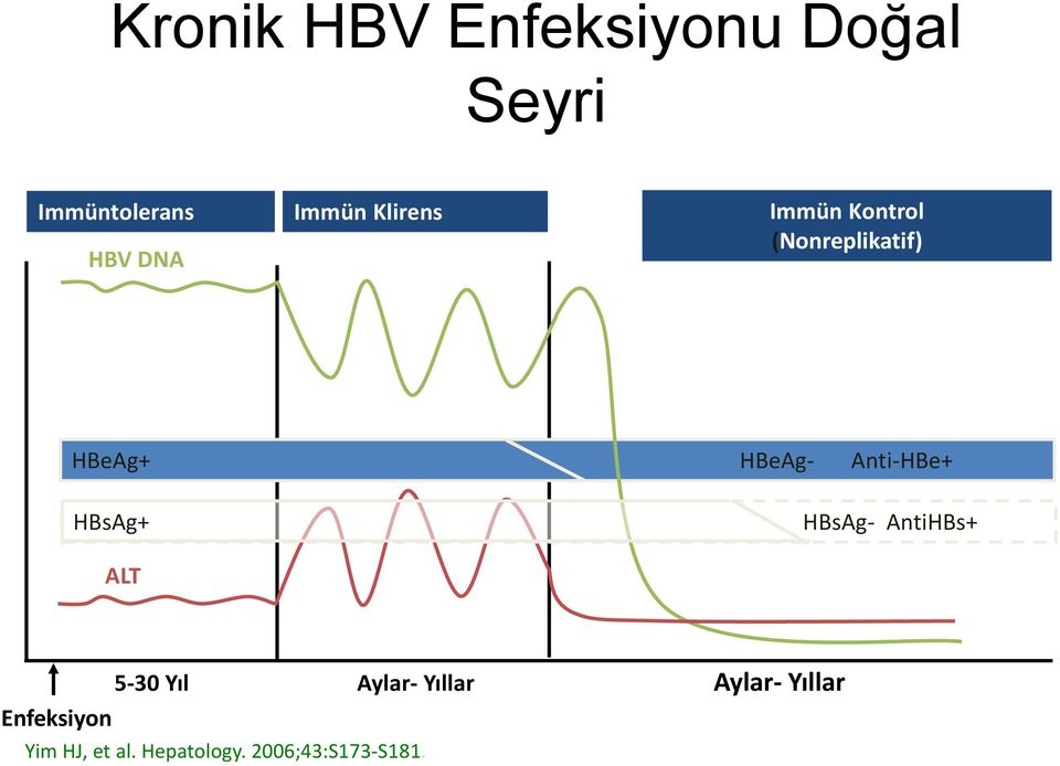 Anti-HBe+ HBsAg+ HBsAg- AntiHBs++ ALT Aylar- Yıllar