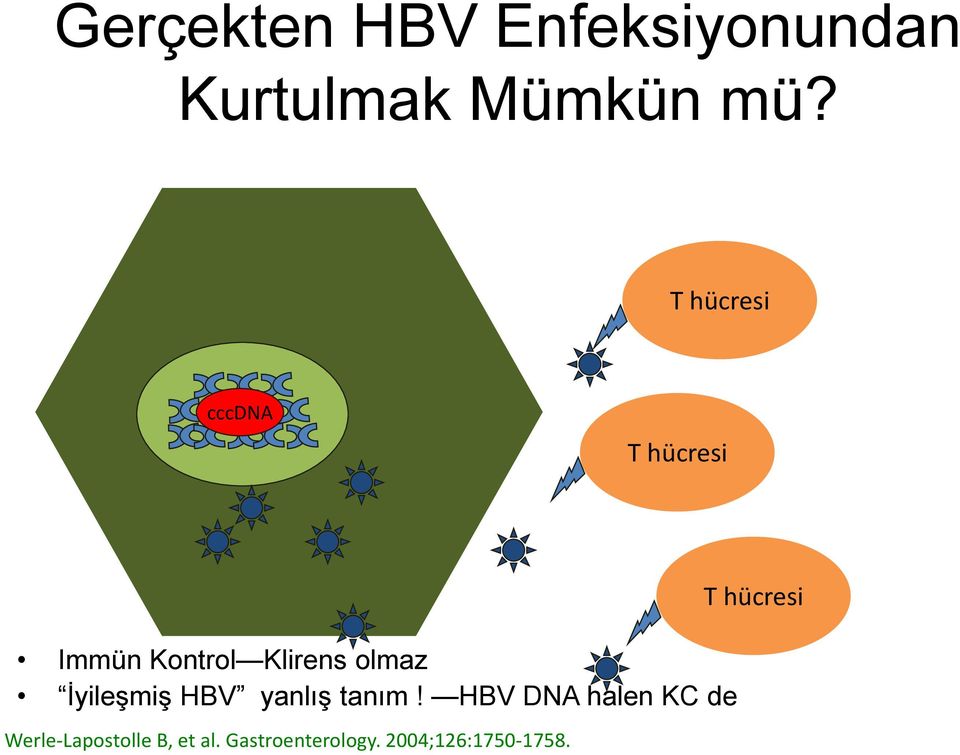İyileşmiş HBV yanlış tanım!