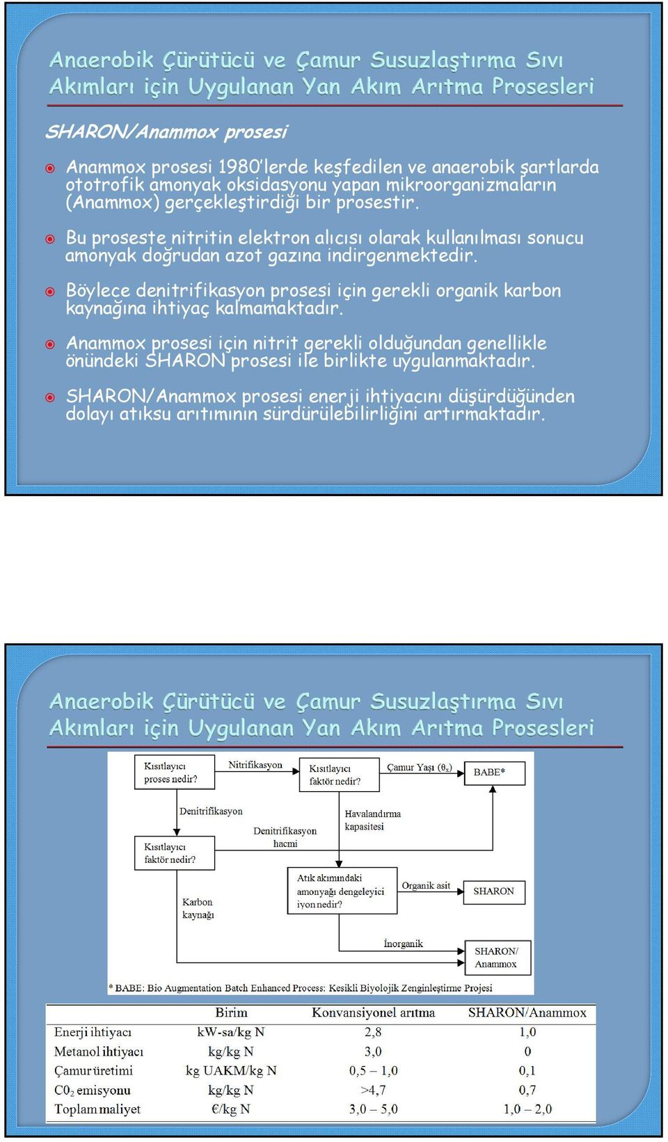 Böylece denitrifikasyon prosesi için gerekli organik karbon kaynağına ihtiyaç kalmamaktadır.