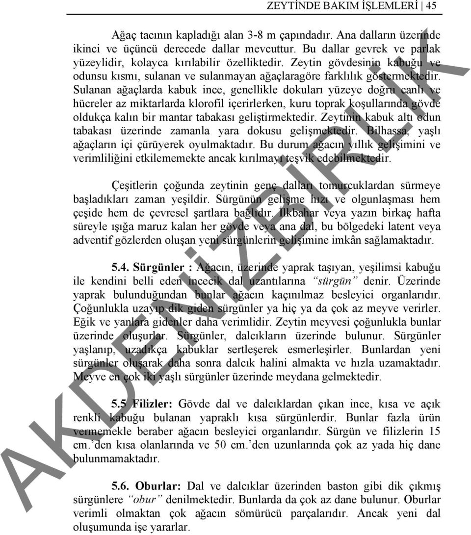 Sulanan ağaçlarda kabuk ince, genellikle dokuları yüzeye doğru canlı ve hücreler az miktarlarda klorofil içerirlerken, kuru toprak koşullarında gövde oldukça kalın bir mantar tabakası