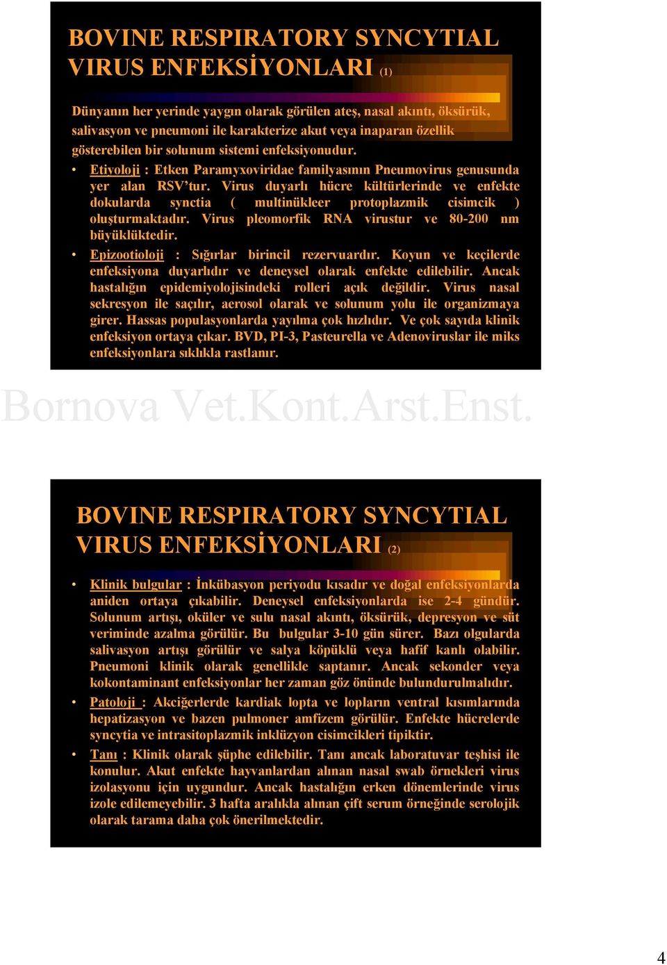 Virus duyarlı hücre kültürlerinde ve enfekte dokularda synctia ( multinükleer protoplazmik cisimcik ) oluşturmaktadır. Virus pleomorfik RNA virustur ve 80-200 nm büyüklüktedir.