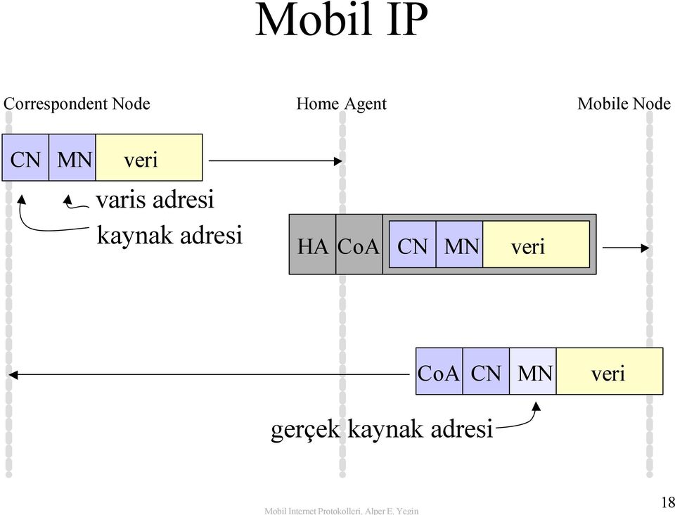 adresi kaynak adresi HA CoA CN MN