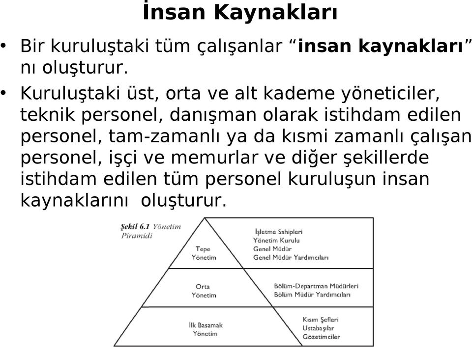 istihdam edilen personel, tam-zamanlı ya da kısmi zamanlı çalışan personel, işçi ve