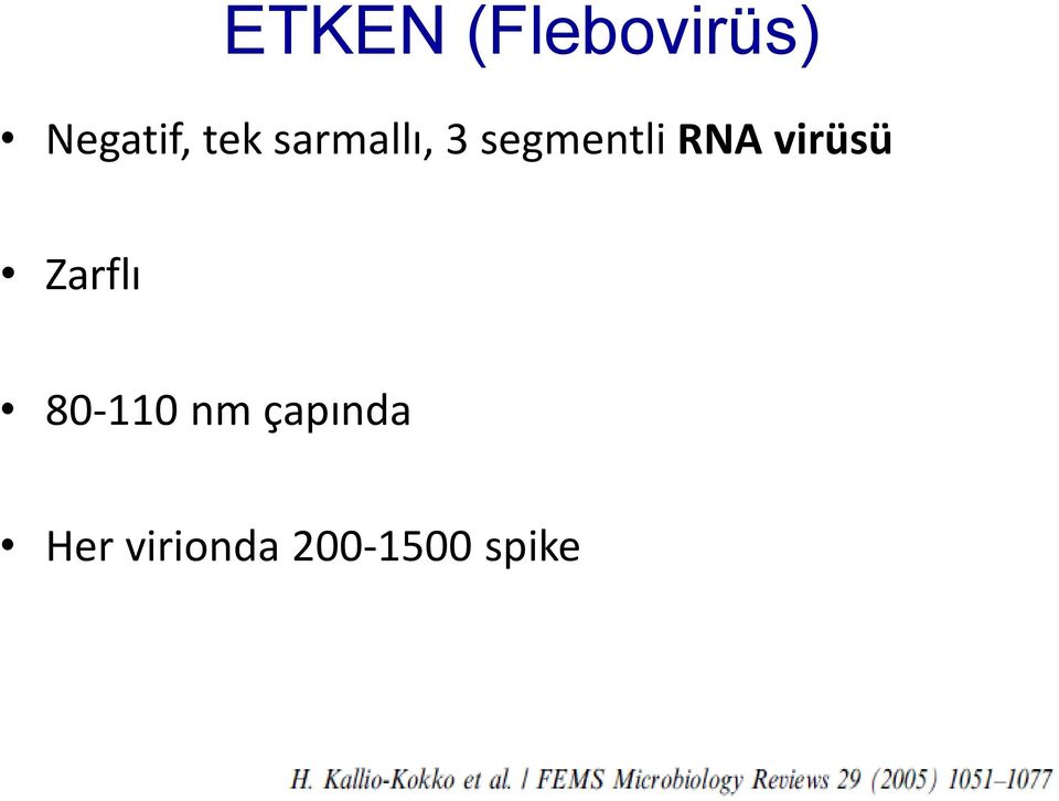 virüsü Zarflı 80-110 nm