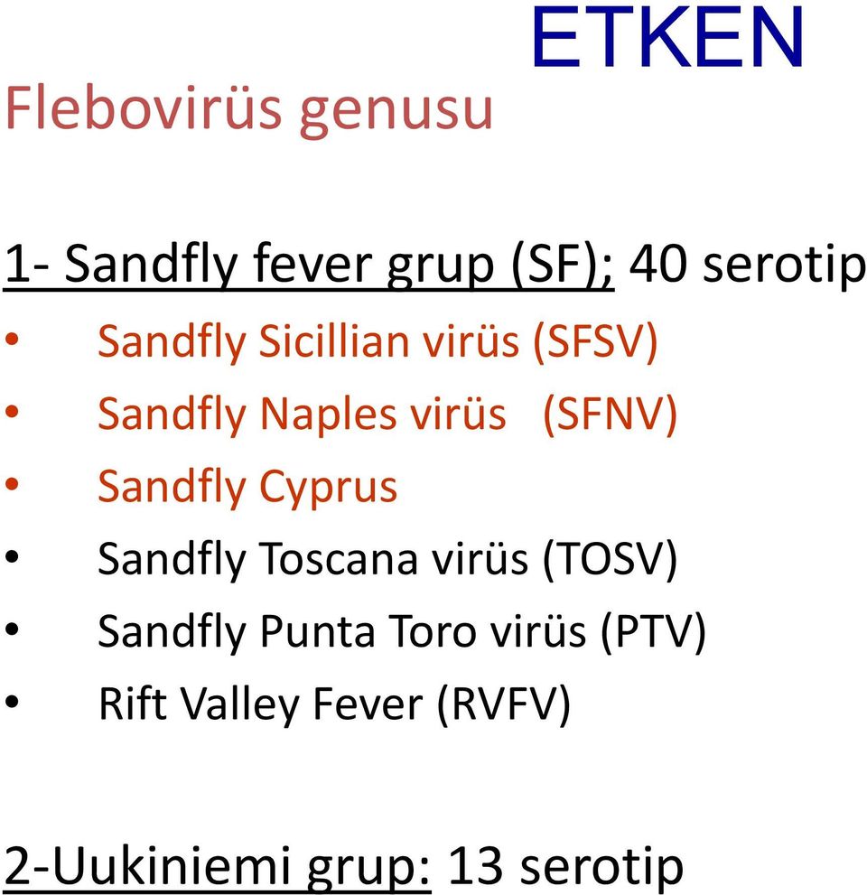Sandfly Cyprus Sandfly Toscana virüs (TOSV) Sandfly Punta Toro