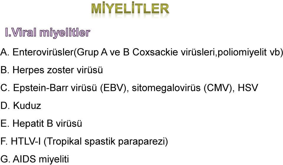Epstein-Barr virüsü (EBV), sitomegalovirüs (CMV), HSV D.