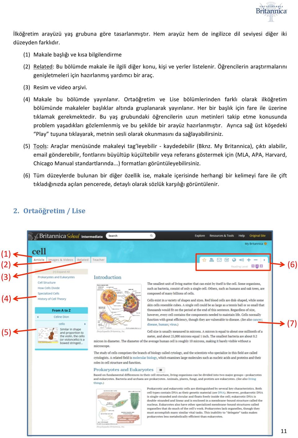 Resim ve video arşivi. Makale bu bölümde yayınlanır. Ortaöğretim ve Lise bölümlerinden farklı olarak ilköğretim bölümünde makaleler başlıklar altında gruplanarak yayınlanır.