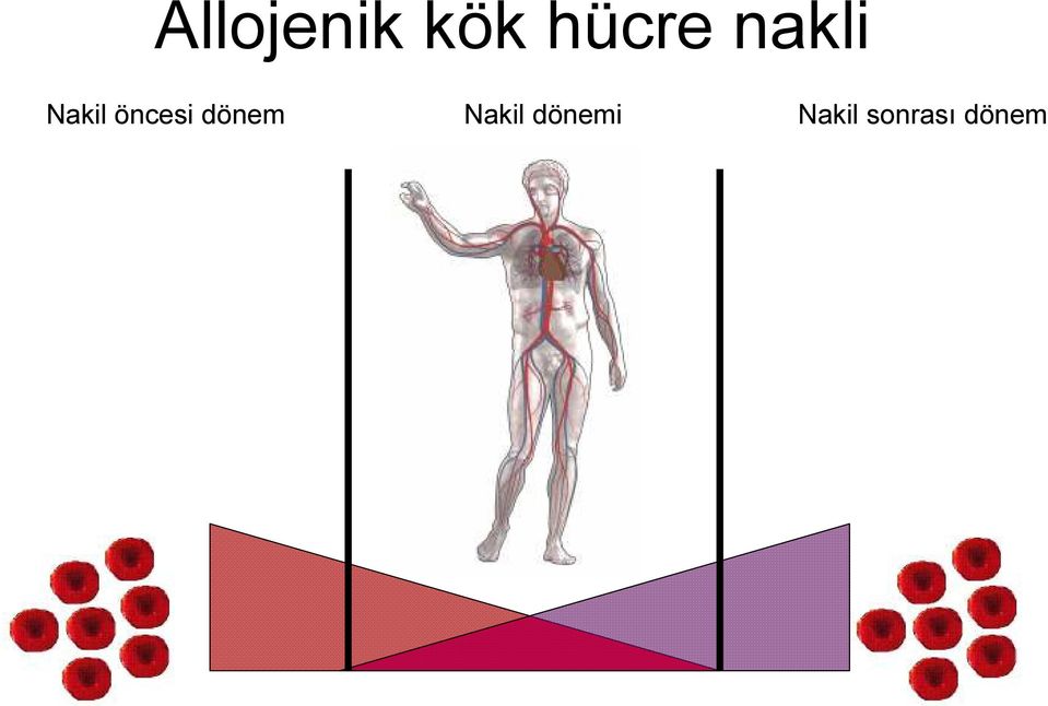 dönem Nakil dönemi